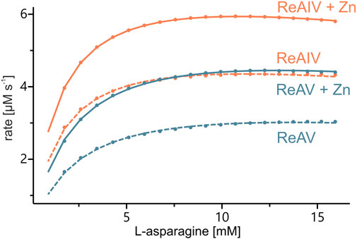 Biochemical characterization of L-asparaginase isoforms from Rhizobium etli—the boosting effect of zinc